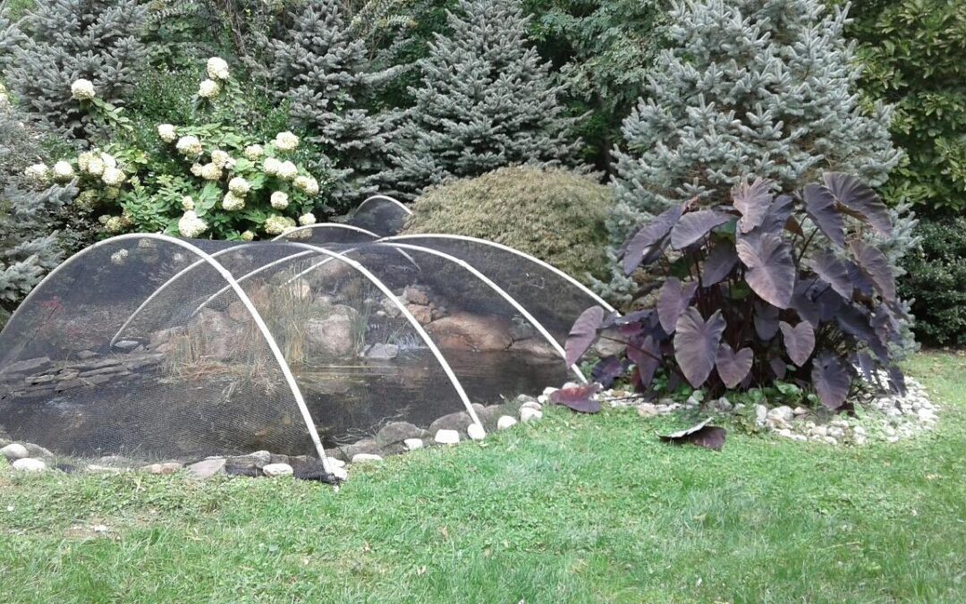 Fall Pond Netting: Protecting Your Koi Pond & Water Garden in Delaware County, PA