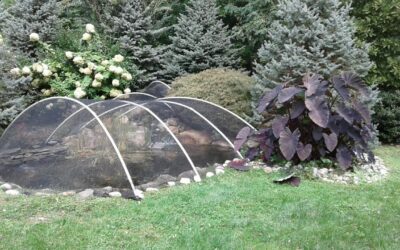 Fall Pond Netting: Protecting Your Koi Pond & Water Garden in Delaware County, PA